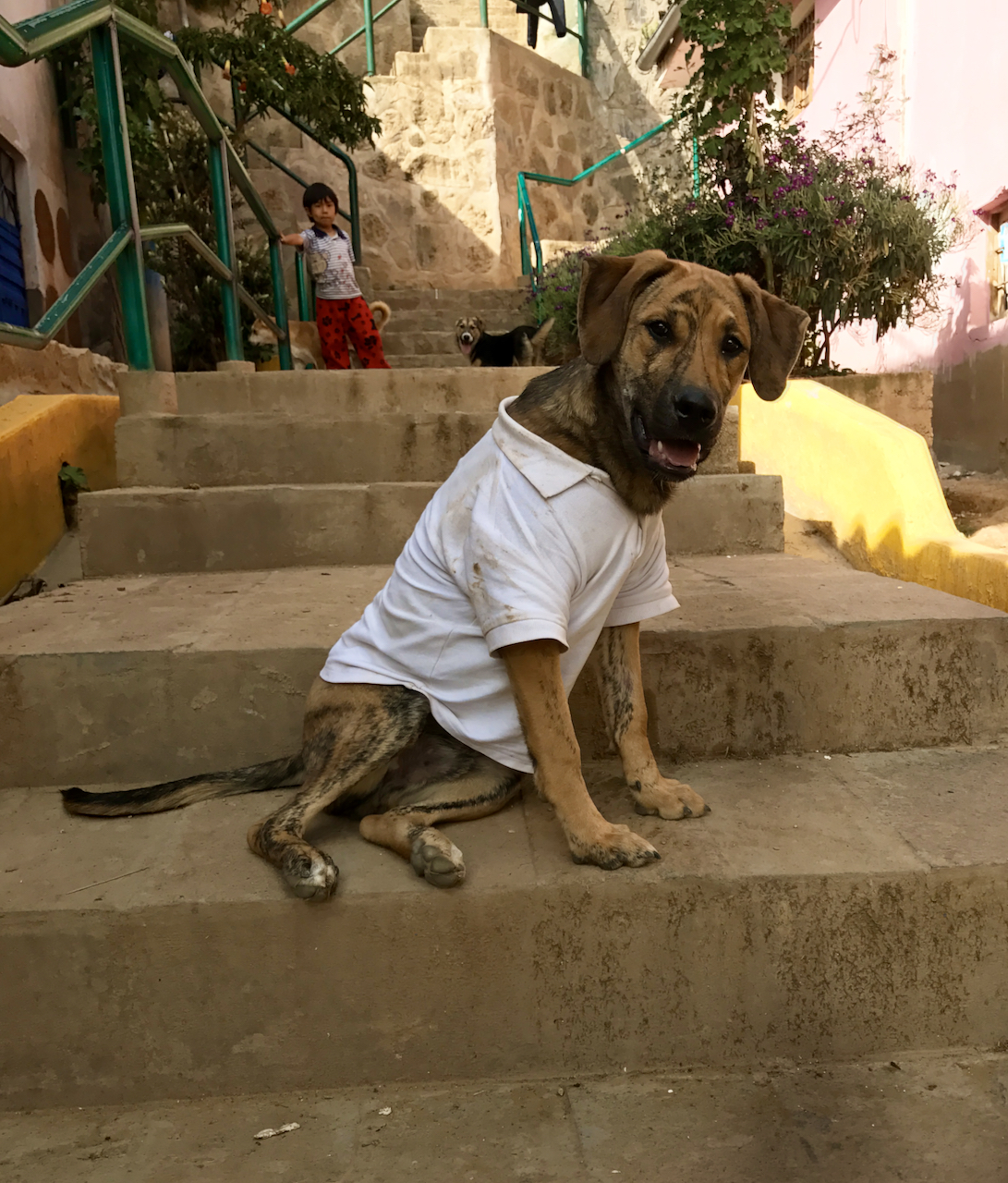 WHEN I WAS YOUR AGE WE DID NOT EVEN HAVE STAIRS